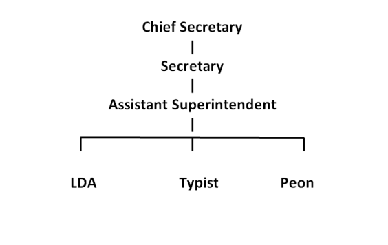 SAD(N) Organisational Chart