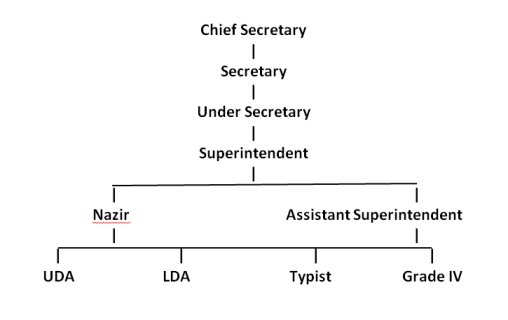 SAD(N) Organisational Chart